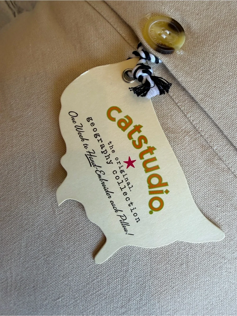 Catstudio cat studios